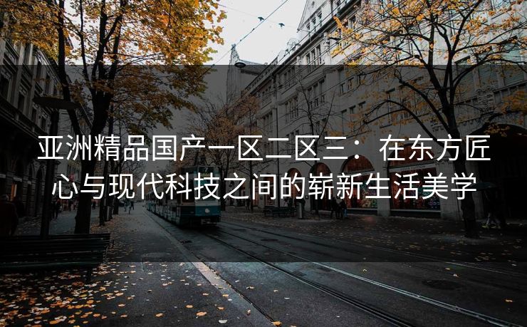 亚洲精品国产一区二区三：在东方匠心与现代科技之间的崭新生活美学