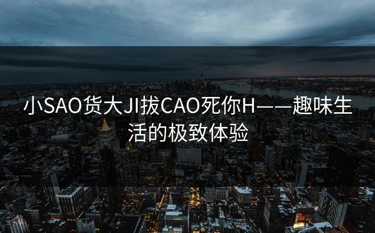 小SAO货大JI拔CAO死你H——趣味生活的极致体验