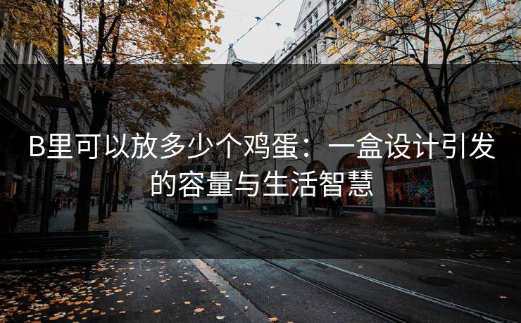 B里可以放多少个鸡蛋：一盒设计引发的容量与生活智慧